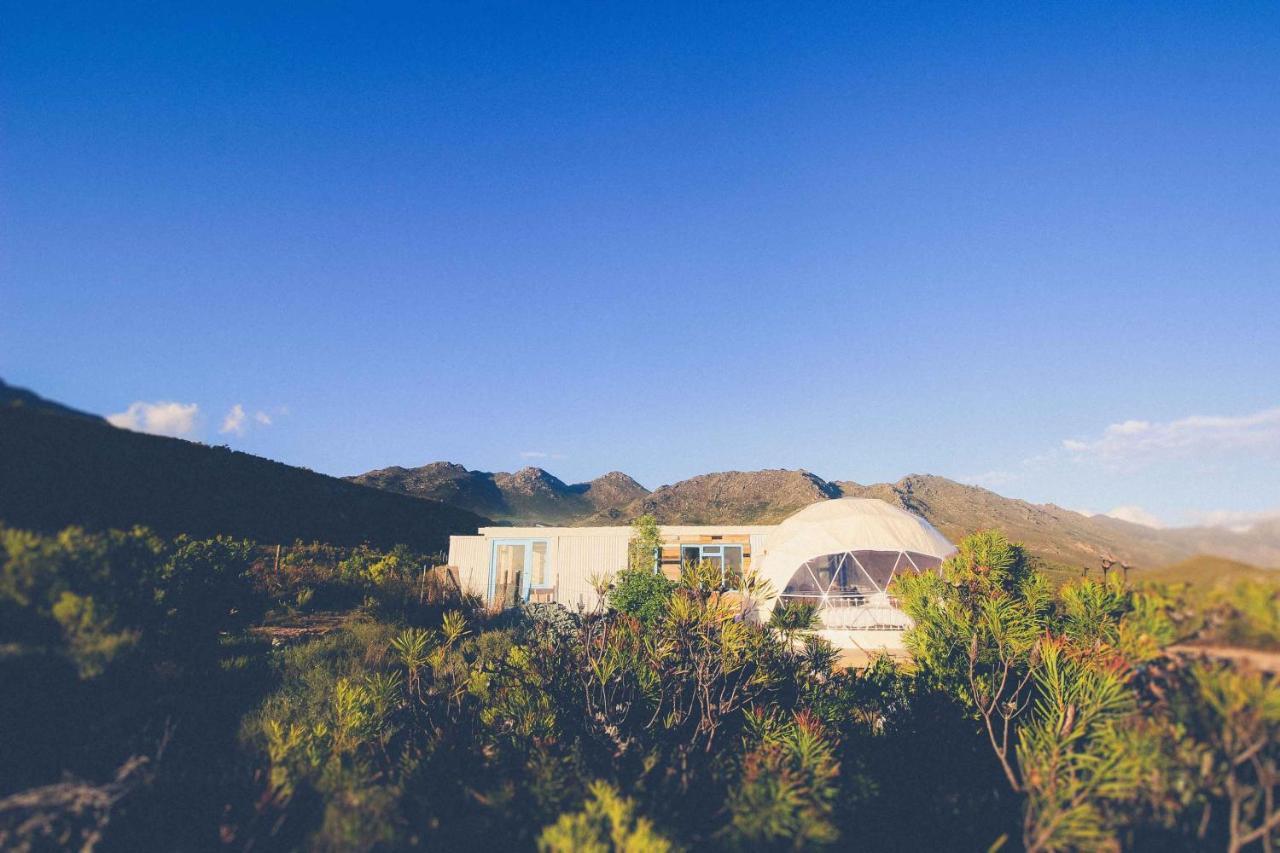 Starry Starry Night - Route 62 Villa Montagu Exterior photo