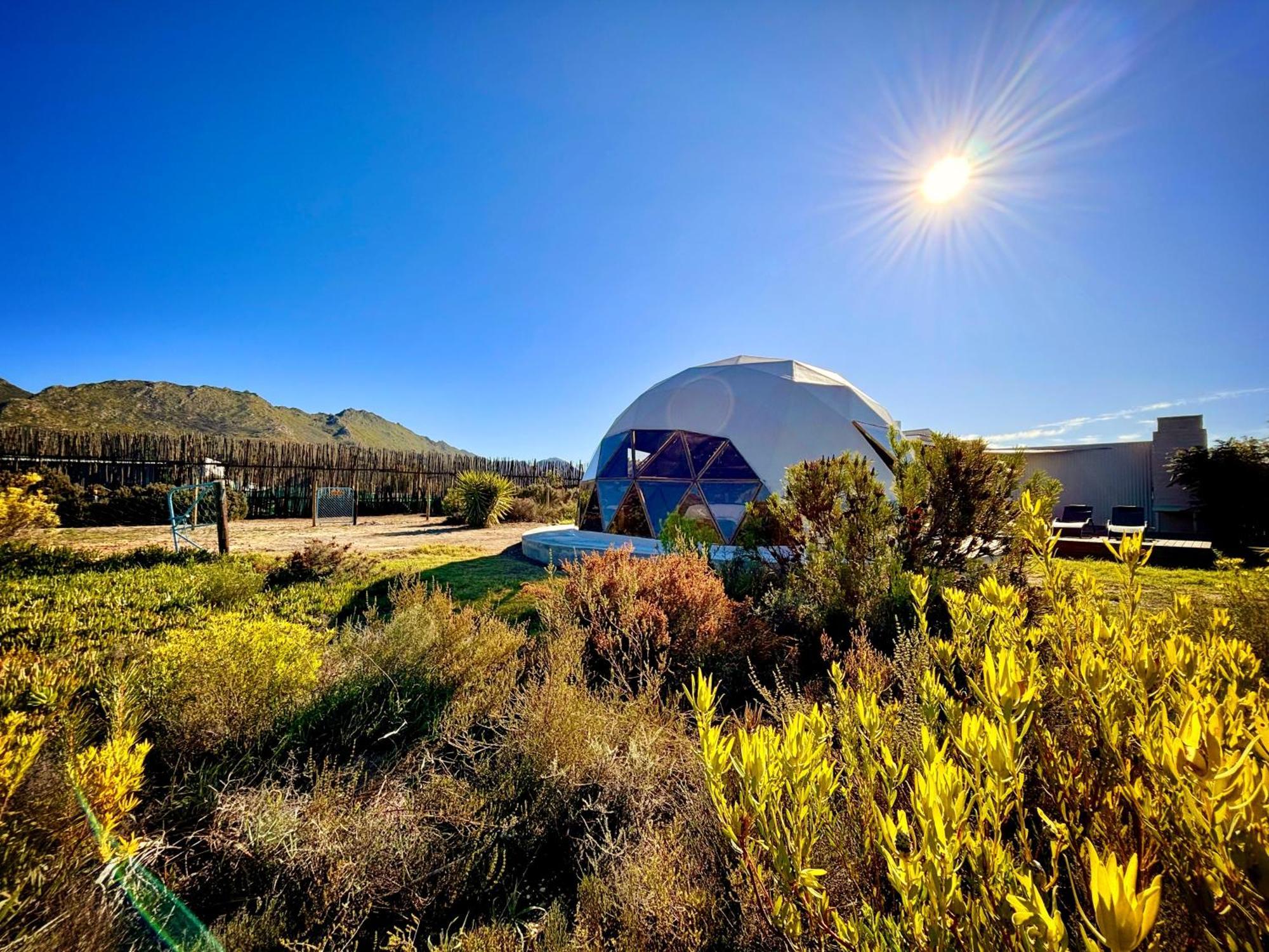 Starry Starry Night - Route 62 Villa Montagu Exterior photo